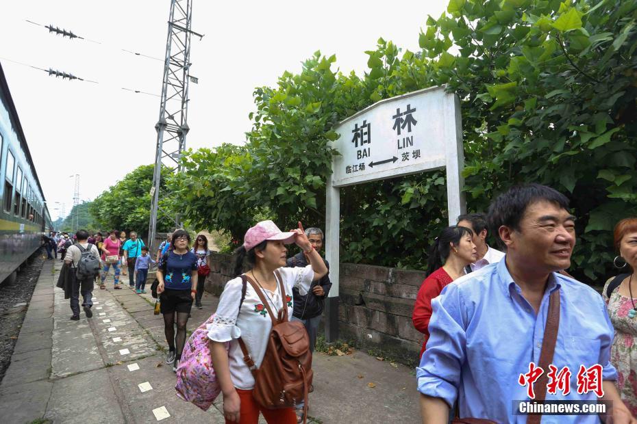 潘金莲三A级做爰片港台霸王花