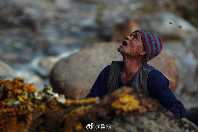 成 人 网 站 免费 图片