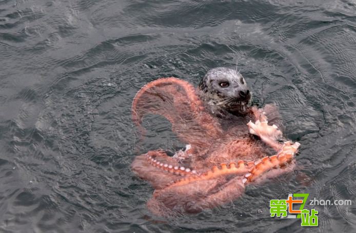 自慰尖叫Xxxxhd