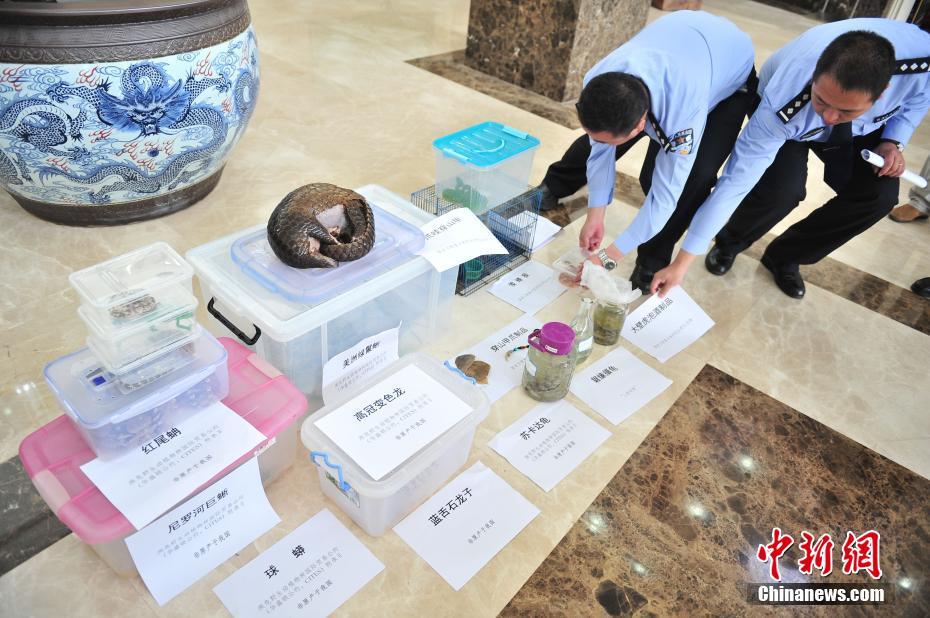 发个黄色视频和黄色直播黄色免费日本韩国国产