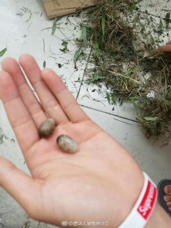 公交车上拨开奶罩揉吮奶