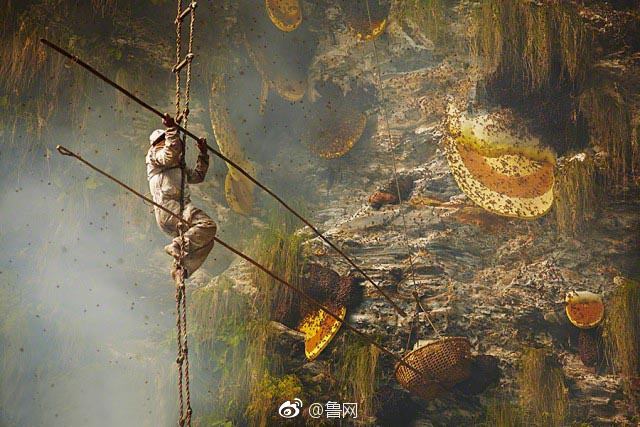 中国少妇被黑人干