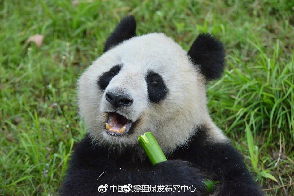 久久综合五月天