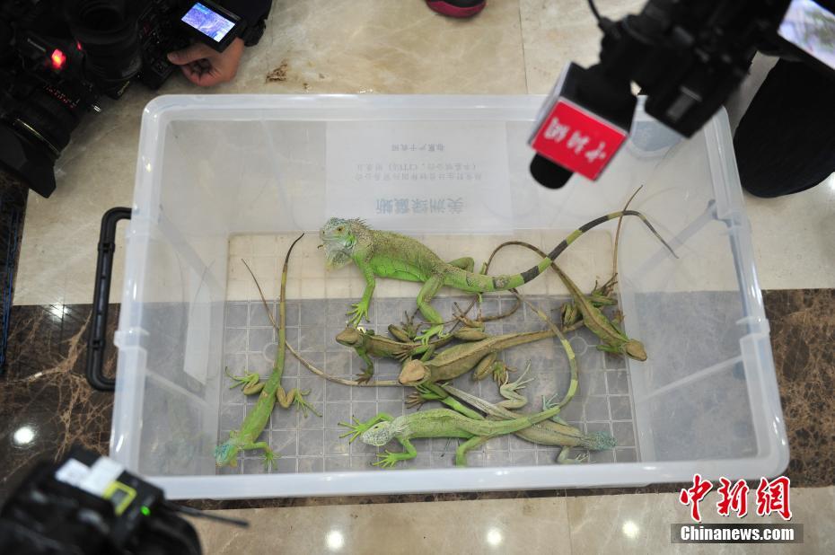 快拔出来我是你小 的报道内容