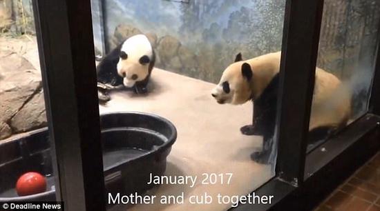 年轻女人操逼视频