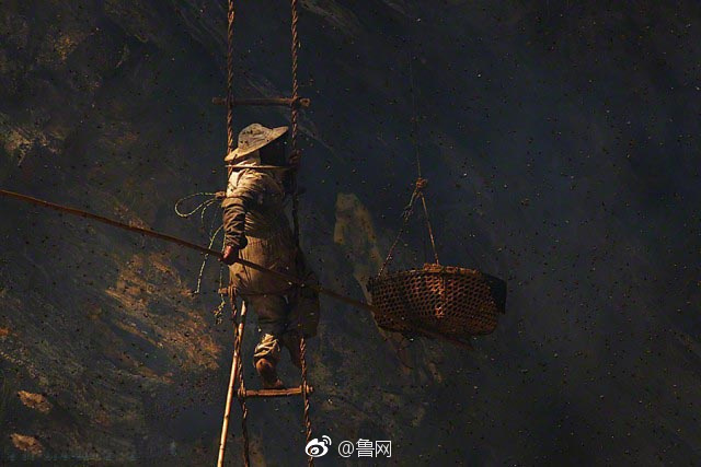 网禁 拗女稀缺13