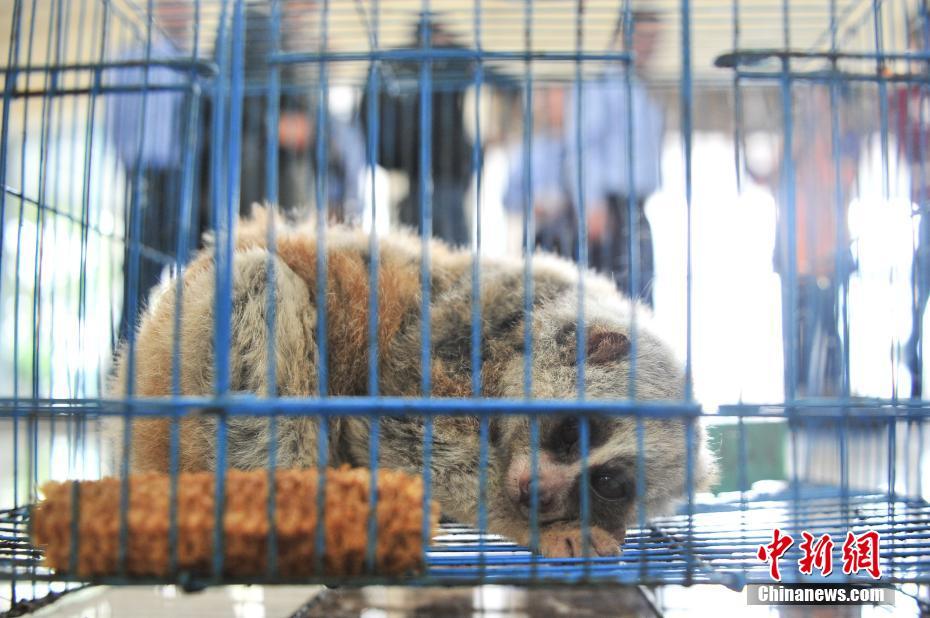 杨幂被揉到高潮喷了
