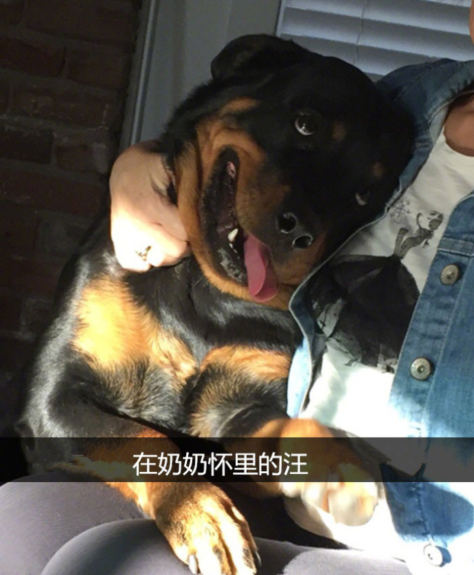 国产另类Xxxxhd高清