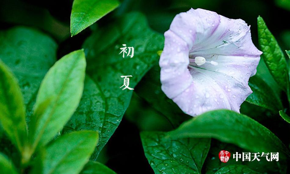 黑木瞳