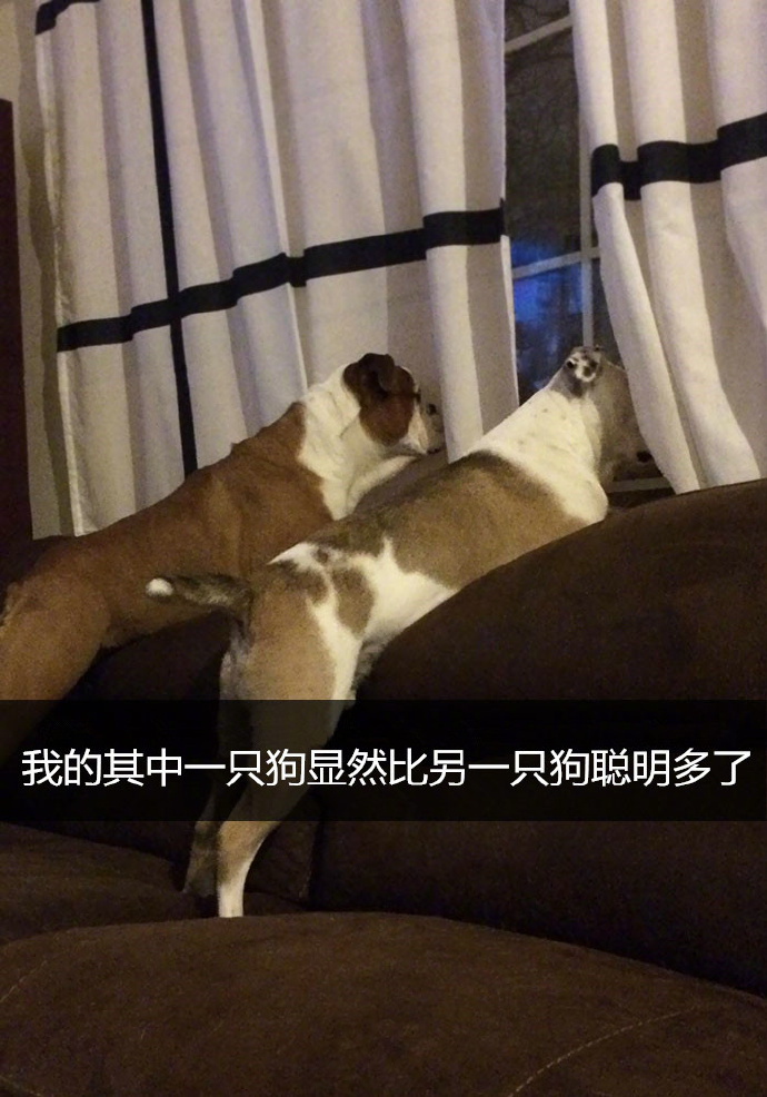 范冰冰被老外躁到高潮