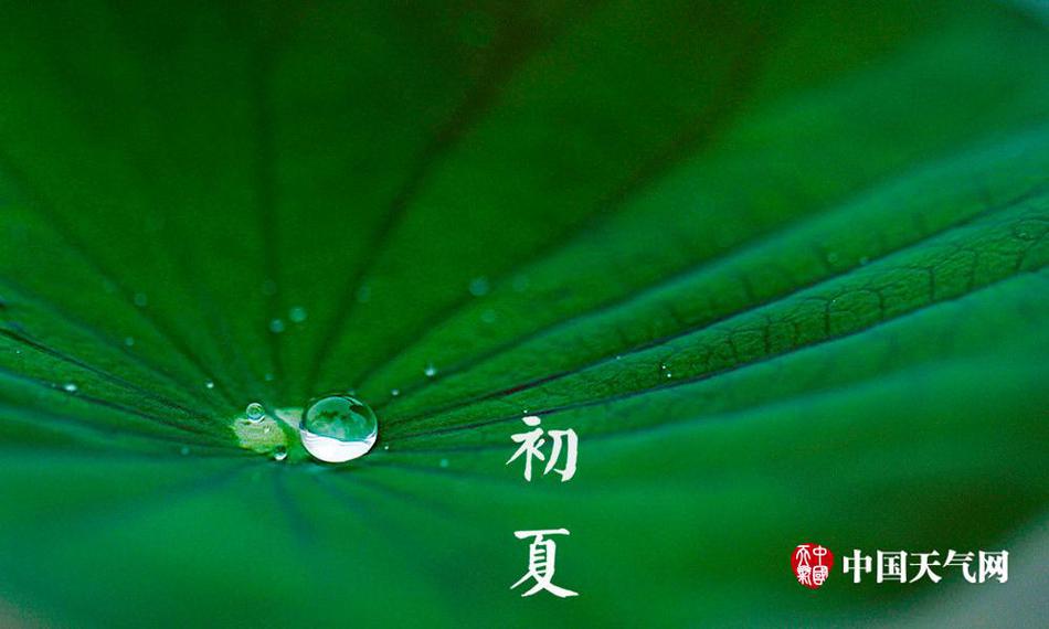 日韩免费一区