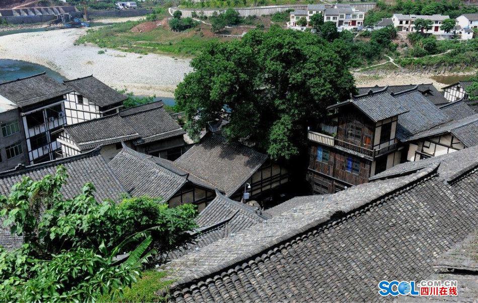 张津瑜16分钟视频劲爆