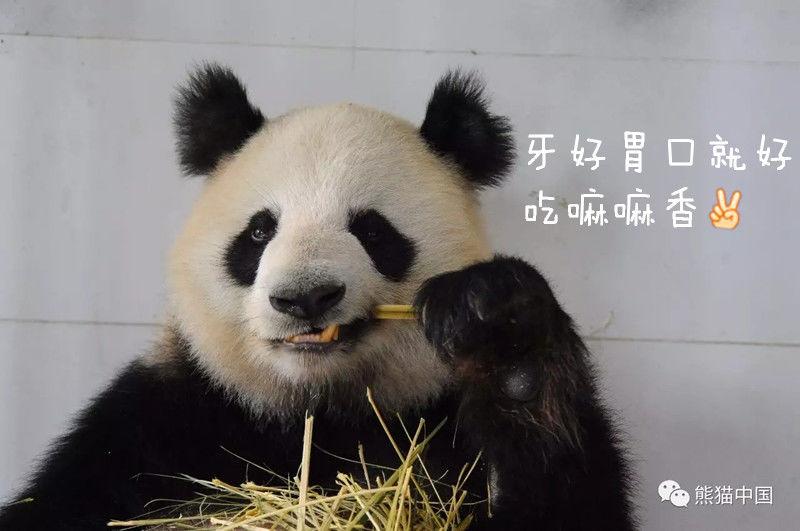 91jk制服白丝超短裙大长腿