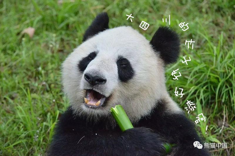 办公室我被他日出水了