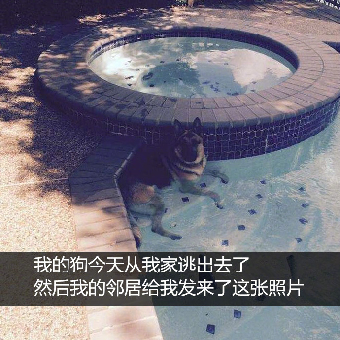 91久久国产露脸精品国产吴梦梦