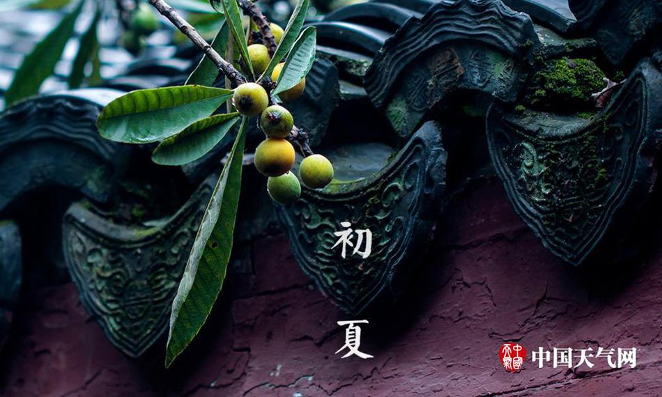 免费 黄色 视频 网站