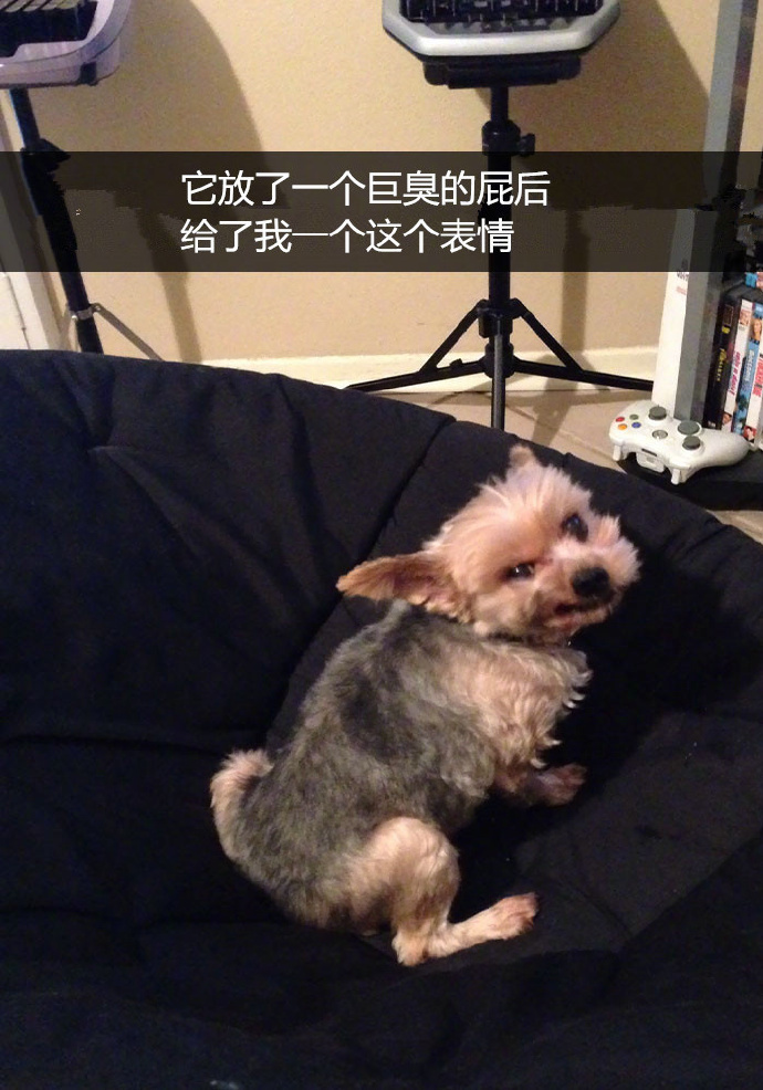 丰满的岳 和女婿3