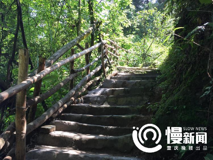 中国性视频偷拍