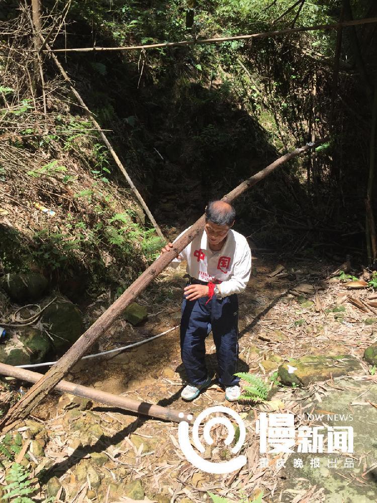 内射老熟女