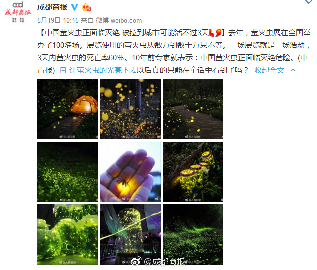 第一次高潮性爱Vedio