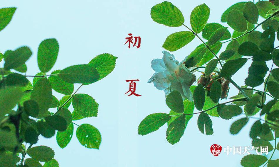 美女裸睡网站