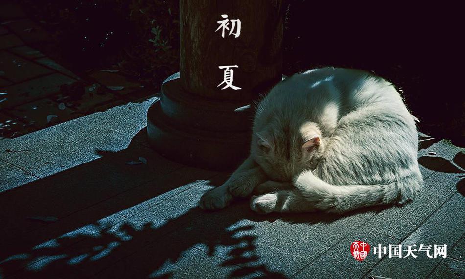 国产精品永久