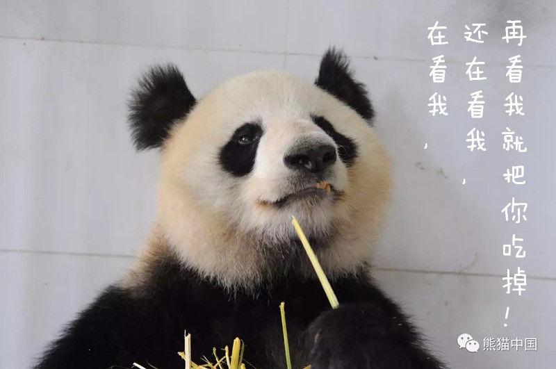 亚州国产