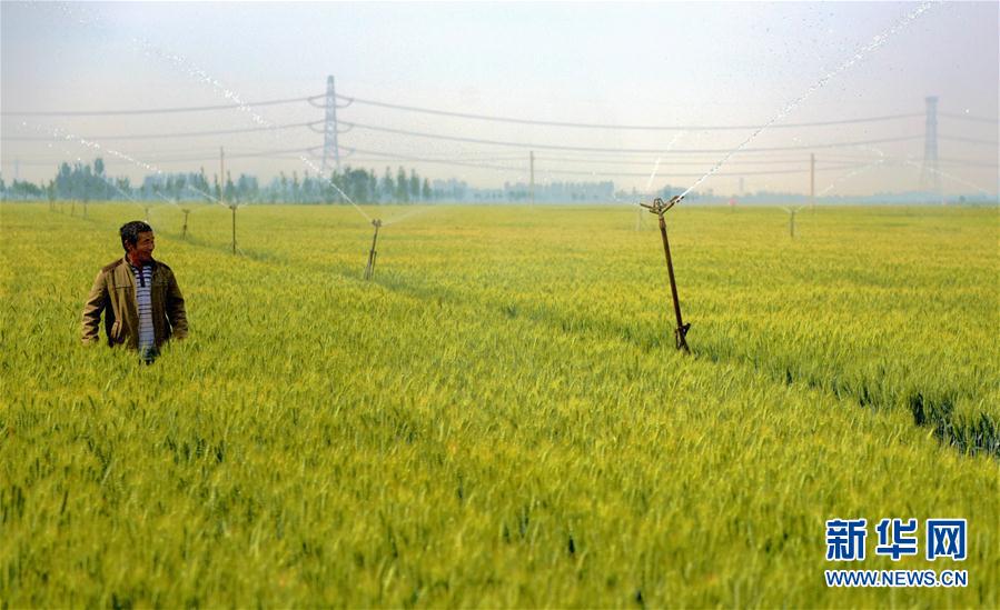 性爱片免费