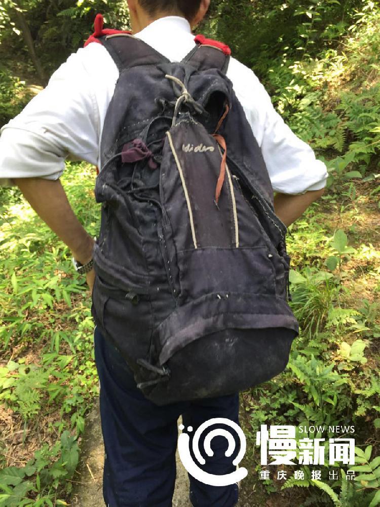 荷兰大白肥屁股BBBBBB