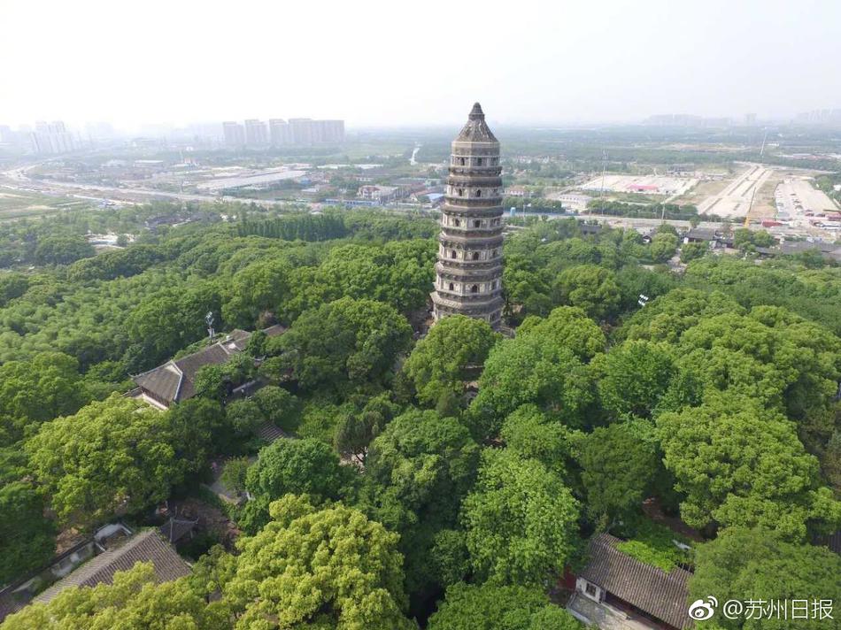 人妻无码免费
