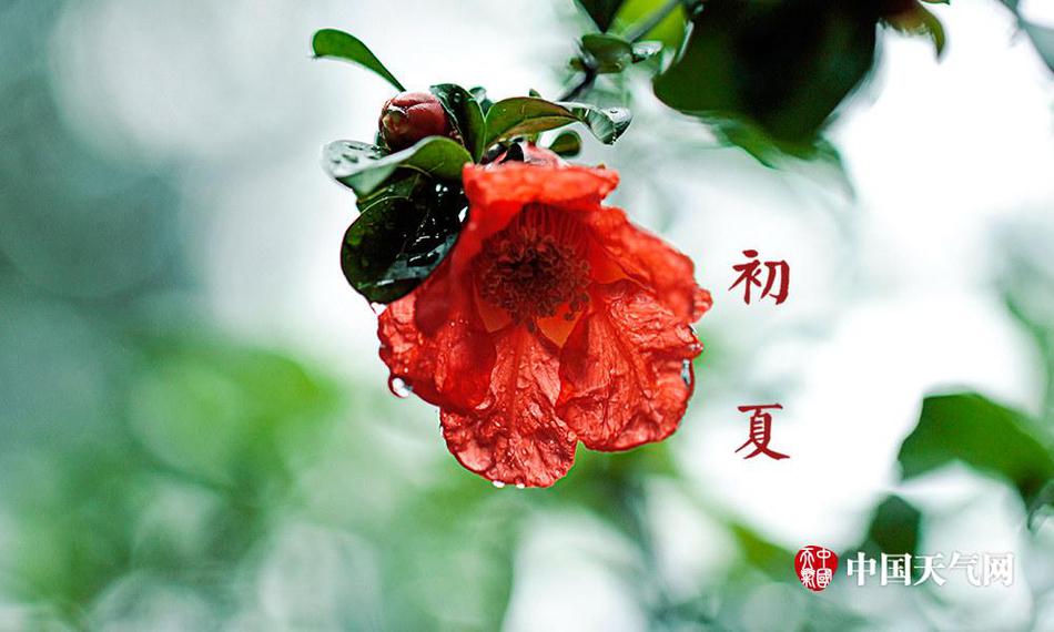 中文字幕人成乱