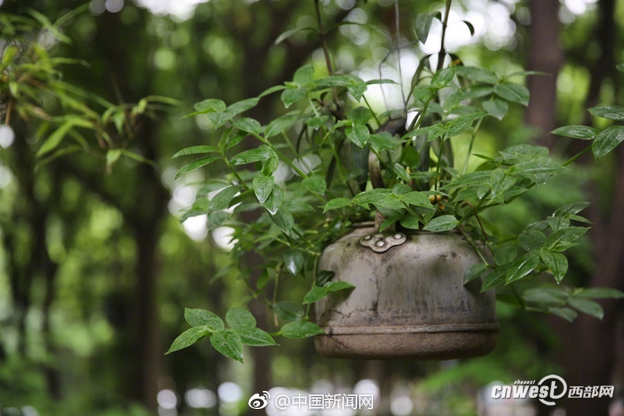 免费看B站直播APP下载