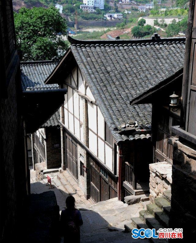 免费看一级高潮毛片