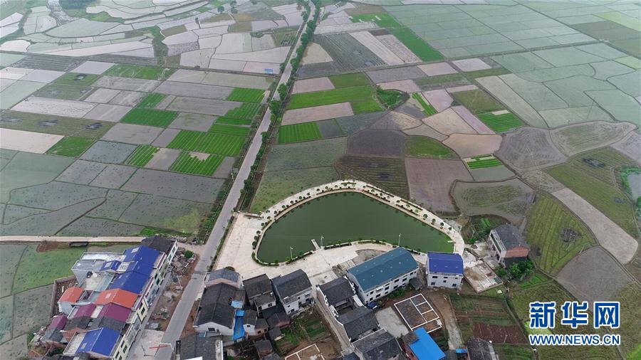 中国黄色片免费