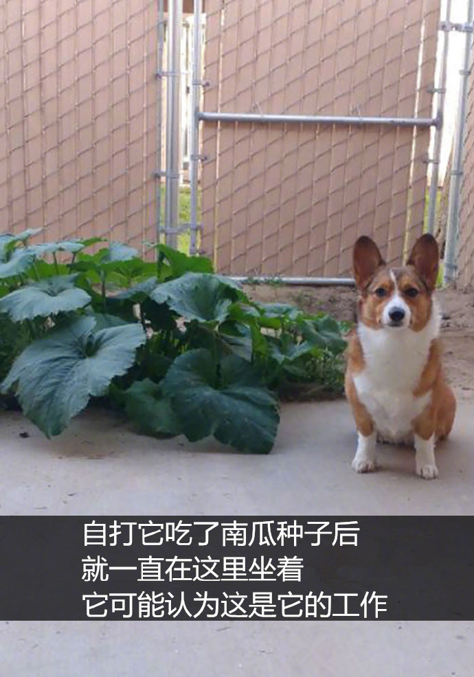 张丽