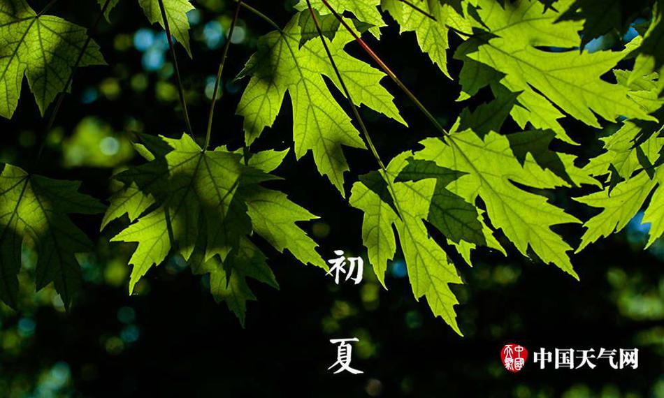 日夲少妇性生活