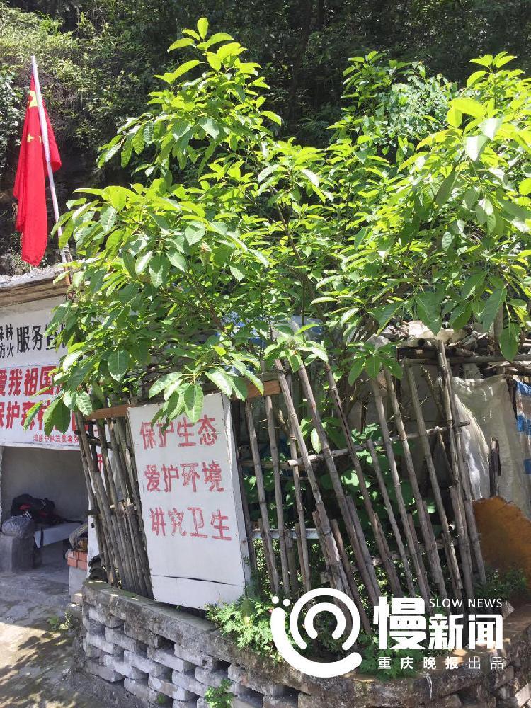 成为直播人的视频软件