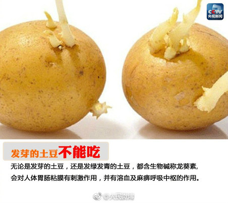 大乱交几把