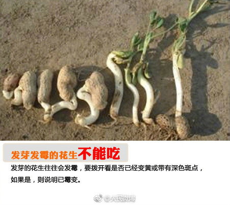 老师家访