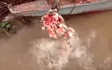 台灣女兵