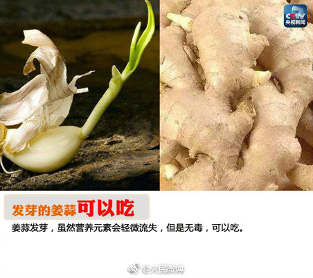91精品视频在线