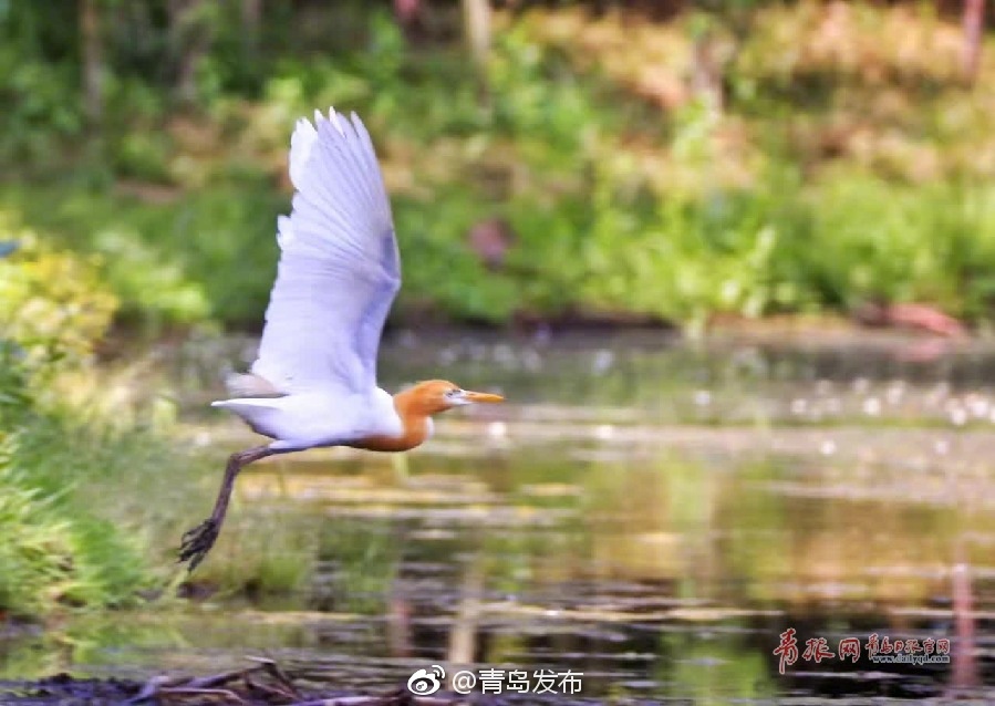 色情 电影 在线 免费 观看
