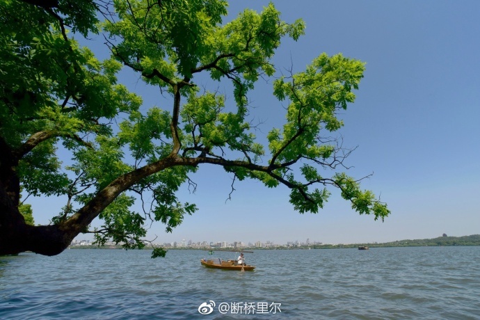 木下若菜