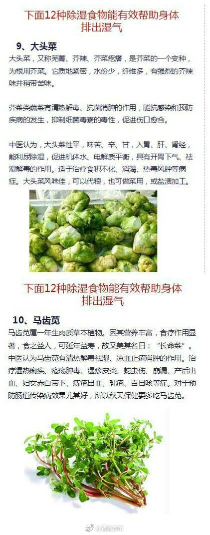 免费中国女明星黄片下载
