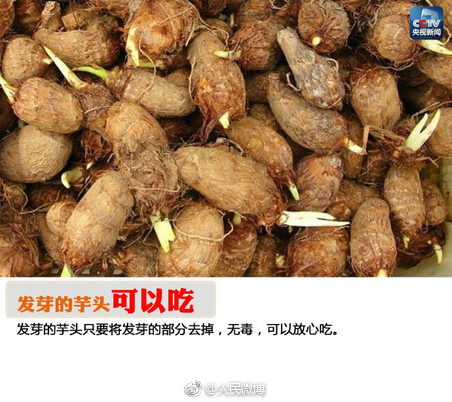 色优优