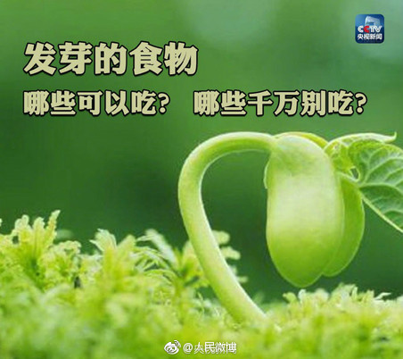 国内乱×X视频60