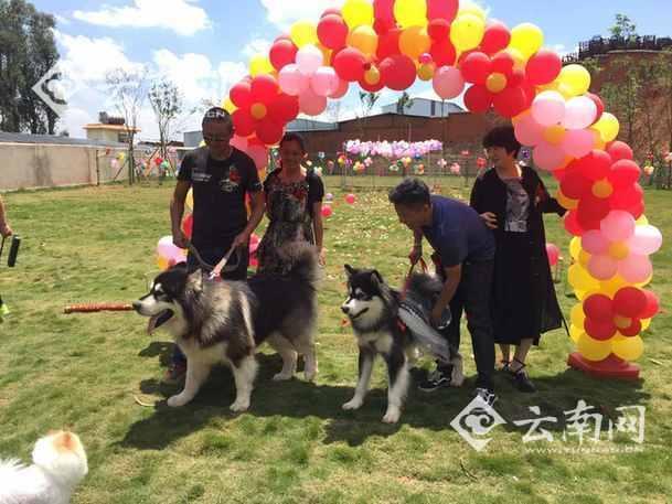 男女都露器官大尺度电影