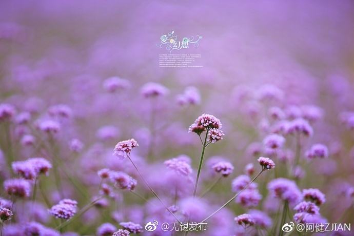 巨胸自慰网站