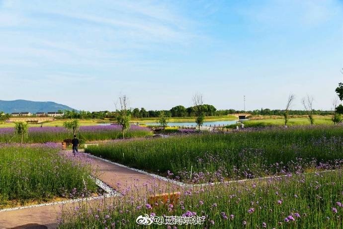 免费 激情 网站