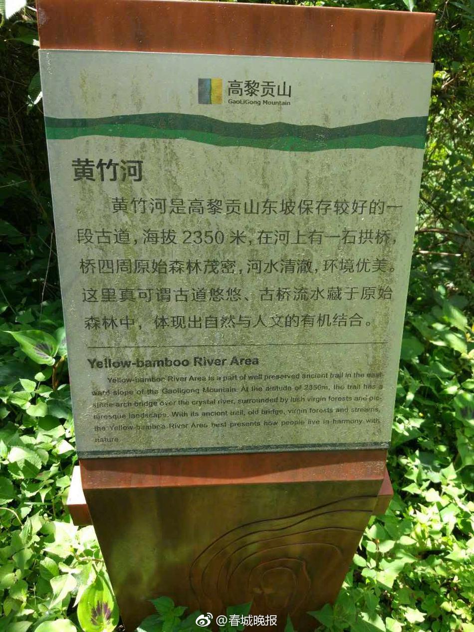 刘涛范冰冰大战巨茎